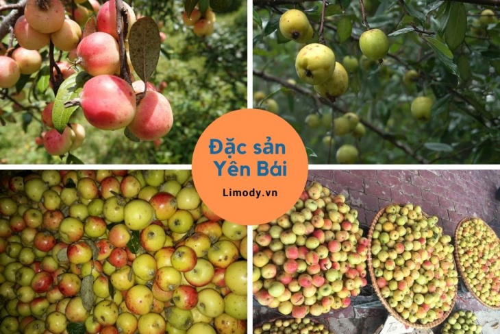 Top 20 Meaningful Yên Bái Specialties as Gifts for Travelers Near and ...