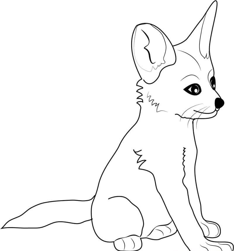 The Most Beautiful Anime Fox Coloring Pages