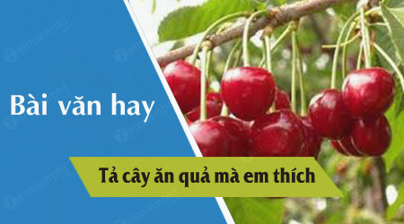 Tả Cây Ăn Quả Lớp 5 - Hướng Dẫn Viết Bài Văn Chi Tiết và Sinh Động