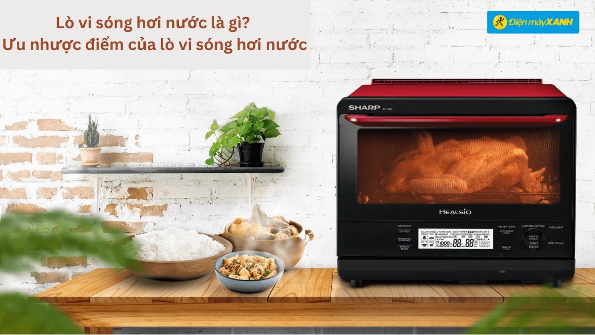 Understanding Water Vapor Microwave Ovens Advantages and Disadvantages