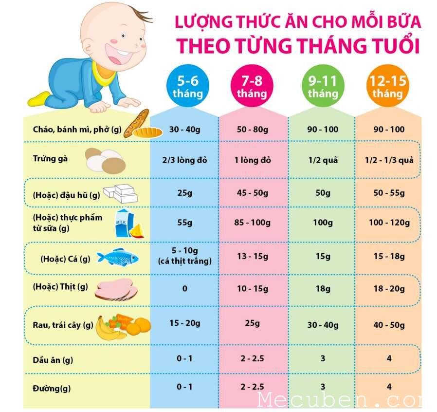 Mấy Tháng Ăn Được Tôm: Bí Quyết An Toàn Và Dinh Dưỡng Cho Bé