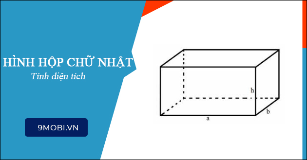 Unlocking the Secrets of Rectangular Prism Area Calculation ...