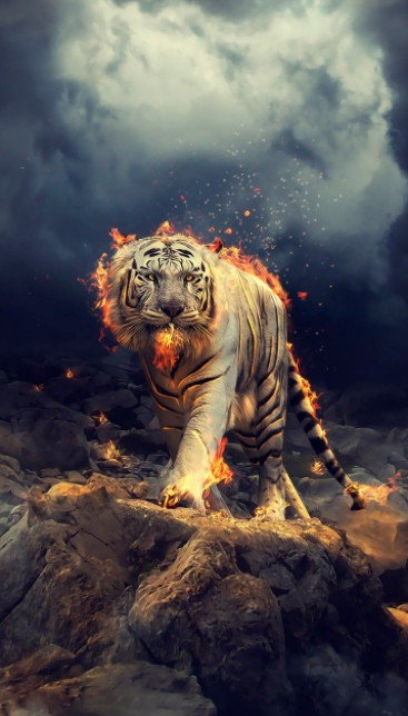 Explore Stunning 3D Tiger Wallpapers for Your Phone