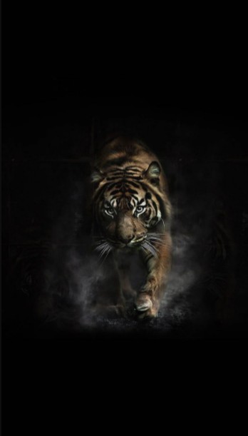 Explore Stunning 3D Tiger Wallpapers for Your Phone