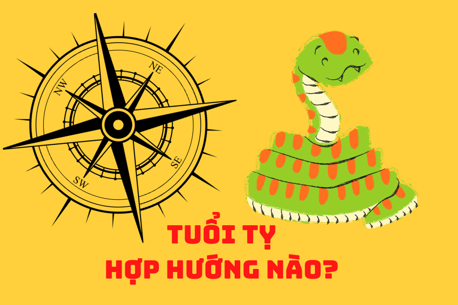 Tuổi Tỵ 1977 Hợp Với Hướng Nào? Bật Mí Hướng Nhà Mang Lại Tài Lộc và Bình An