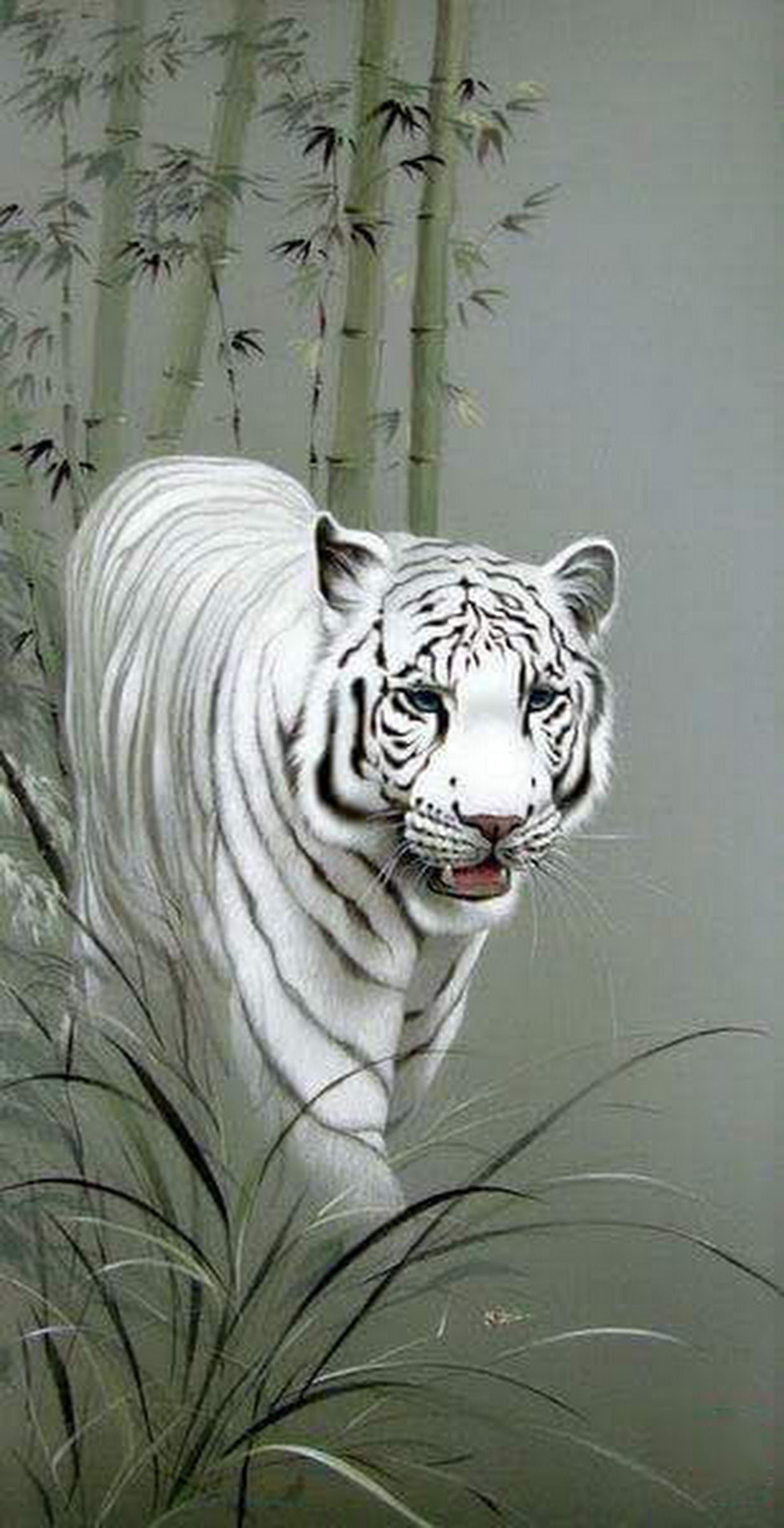 Stunning White Tiger Wallpaper