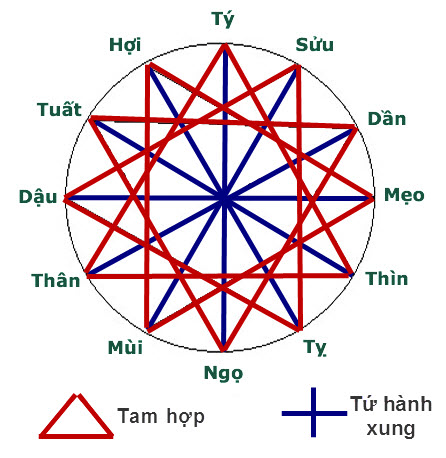 Khám phá bí mật về sự kết hợp của 12 con giáp: Tam hợp và tứ hành xung