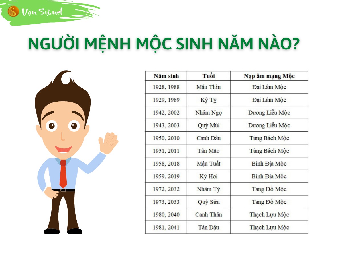 3. Quy Luật Tương Sinh và Tương Khắc Của Mệnh Mộc