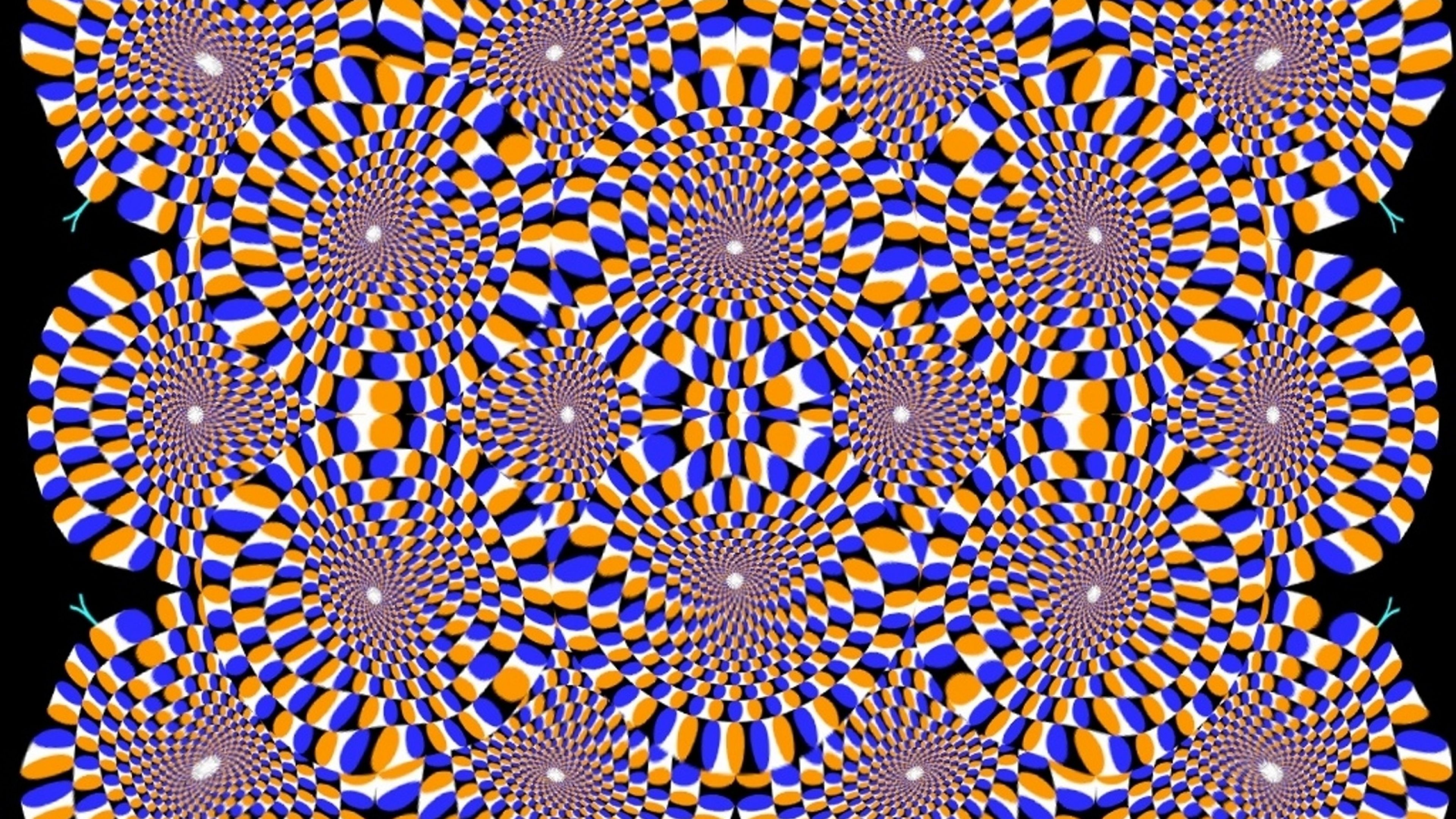 robert patrick psych