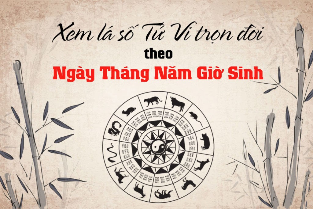 Khám phá tử vi và vận mệnh của người tuổi Tỵ theo giờ, ngày, tháng sinh