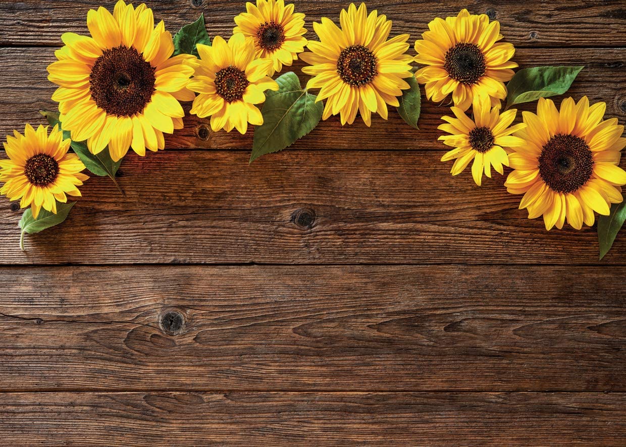 Discover Over 100 Beautiful Sunflower Backgrounds