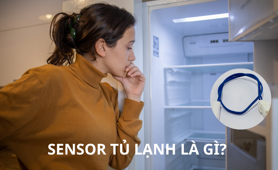 Understanding Refrigerator Sensors: What Are They and How to Decipher ...