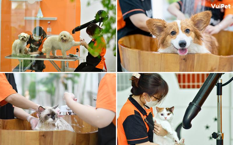 Top 10 Best Pet Spa Services in Thu Duc Ho Chi Minh City Mytour.vn