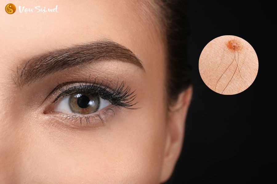 Khám phá bí ẩn của lông tài: Ý nghĩa và vị trí trên cơ thể