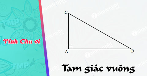 Tính chu vi hình tam giác vuông: Hướng dẫn chi tiết và các ví dụ minh họa