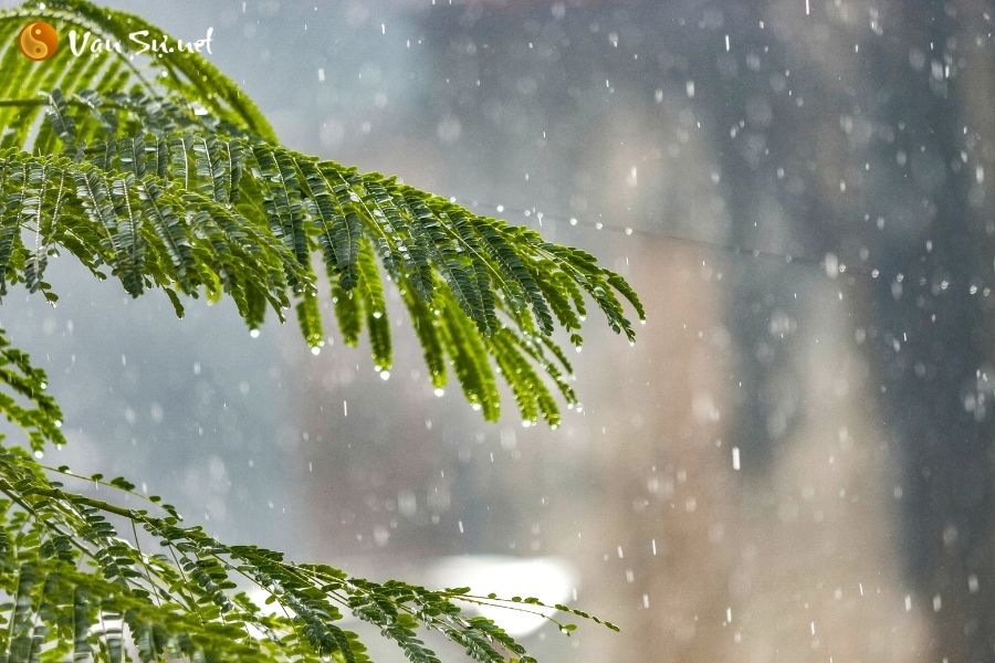 Giải thích ý nghĩa giấc mơ thấy mưa