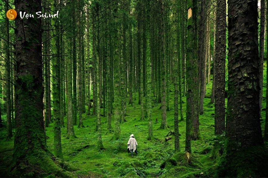 Ý nghĩa của giấc mơ về người đã khuất là gì?