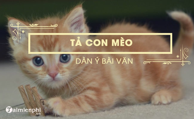 Dàn ý bài văn tả con mèo - Hướng dẫn chi tiết và đầy đủ