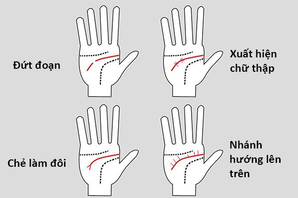 Khám phá bí mật của đường định mệnh qua bàn tay - Phân tích sự nghiệp, đánh giá tình duyên