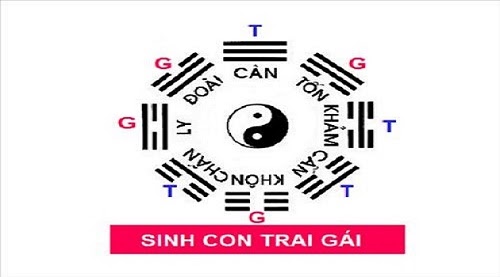 Bí quyết sinh con trai theo quẻ bát quái năm 2022