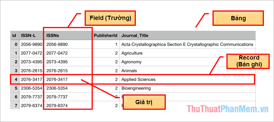 Field là gì? Tìm hiểu khái niệm và ứng dụng trong các lĩnh vực