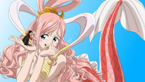 Spotlight on the beloved heroines of One Piece