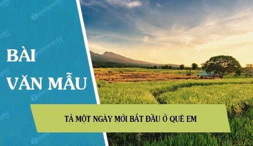 Tả Ngày Mới Bắt Đầu Ở Quê Em Ngắn - Khung Cảnh Yên Bình Và Hoạt Động Sôi Nổi