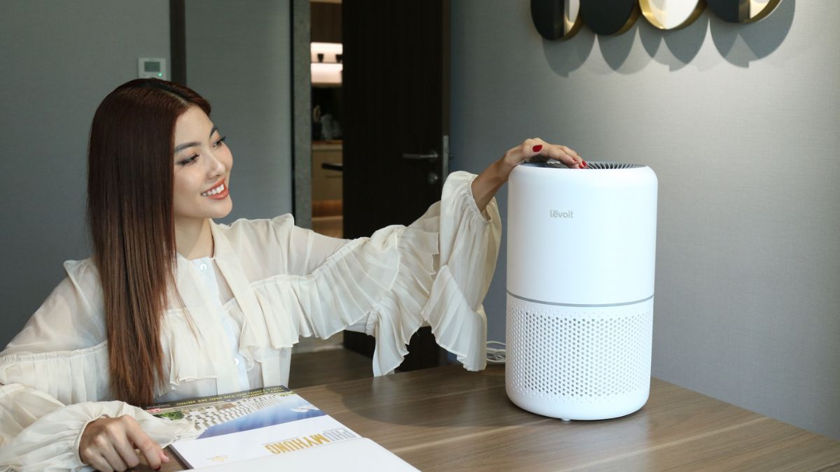 Is the Levoit air purifier worth it? A comprehensive review