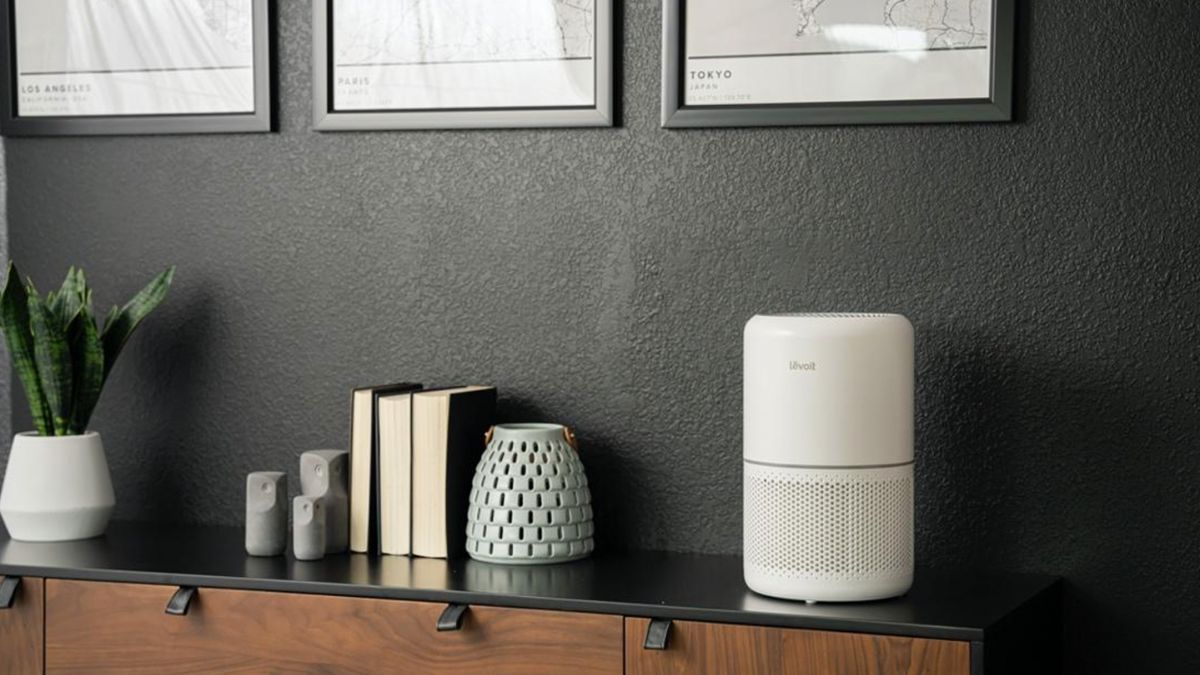 Is the Levoit air purifier worth it? A comprehensive review