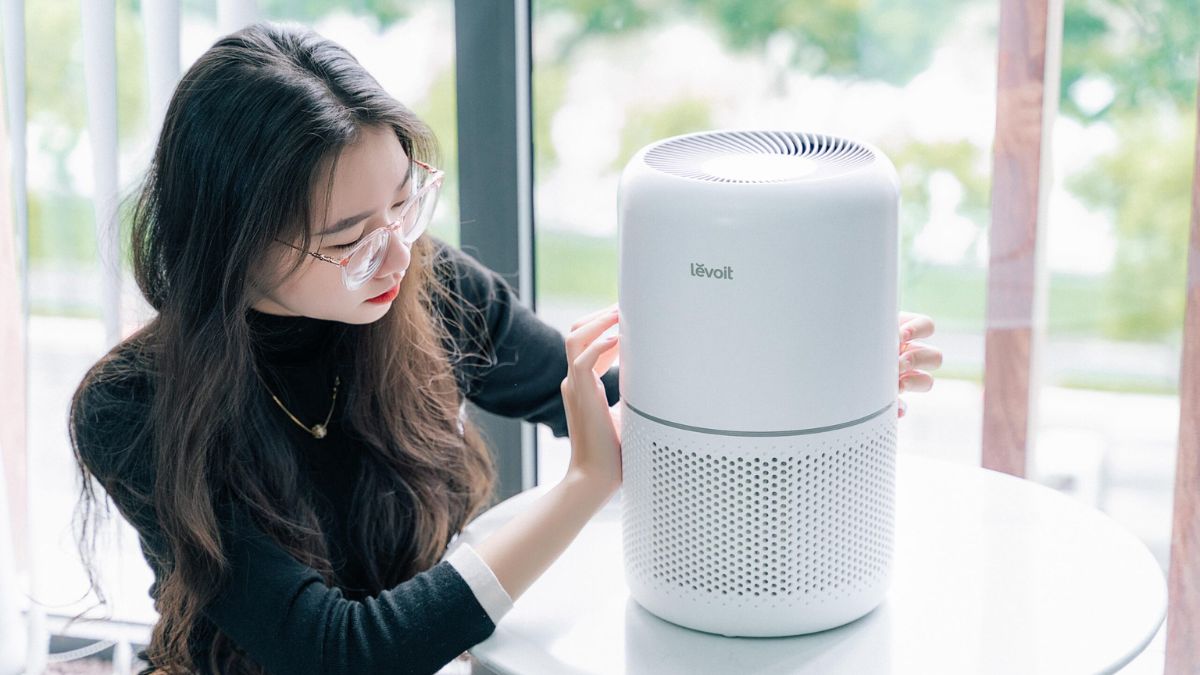 Is the Levoit air purifier worth it? A comprehensive review