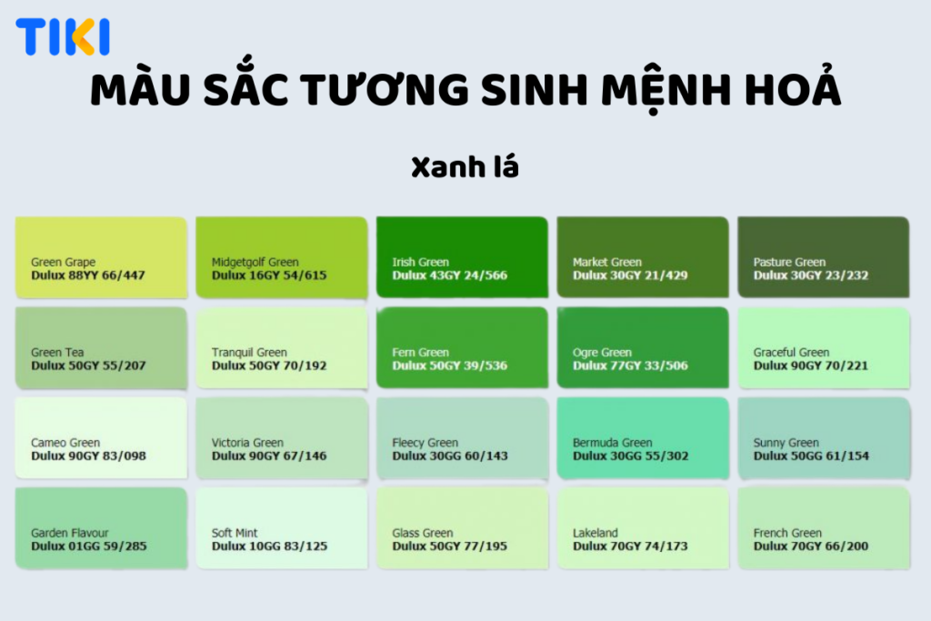 Mệnh Hỏa Hợp Màu Xanh Lá Không?