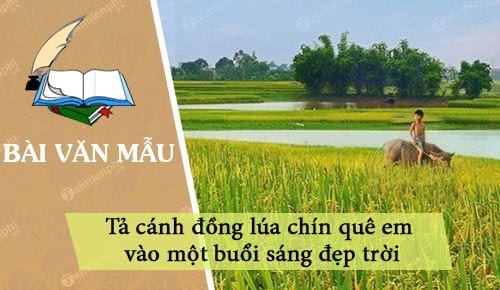 Bài Văn Tả Cảnh Đẹp Cánh Đồng - Khám Phá Vẻ Đẹp Thiên Nhiên Quê Hương