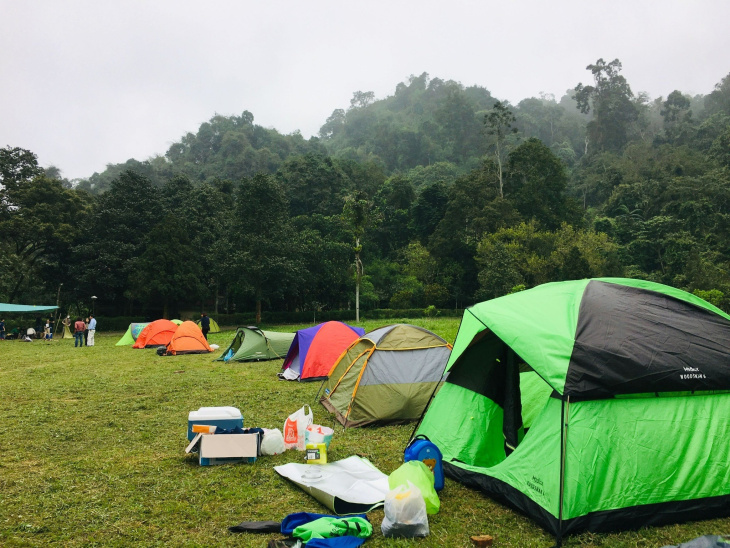 Travel Tips for Cúc Phương National Park: Transportation ...