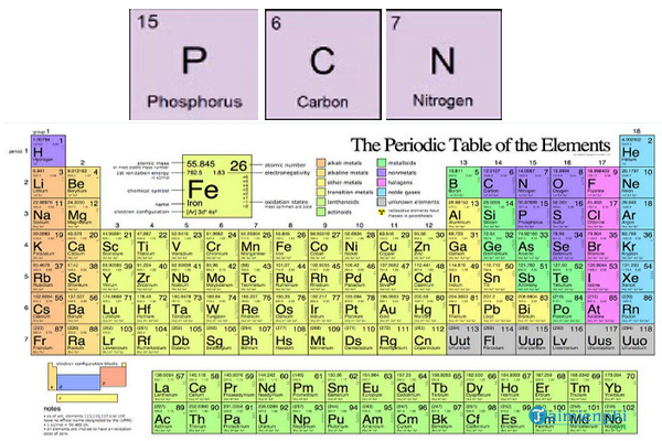 "P là gì trong hóa học": Tìm hiểu sâu về Phosphor và ứng dụng của nó trong cuộc sống