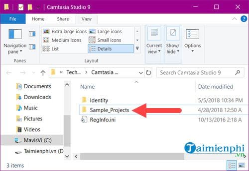 Fixing Camtasia's Crashing Issue