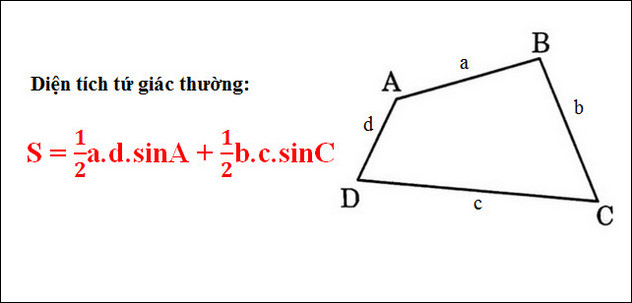 Công Thức Tính Diện Tích Tứ Giác ABCD: Hướng Dẫn Chi Tiết và Đầy Đủ Nhất