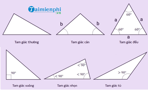 Công Thức Tính Diện Tích Các Loại Tam Giác: Hướng Dẫn Chi Tiết và Dễ Hiểu