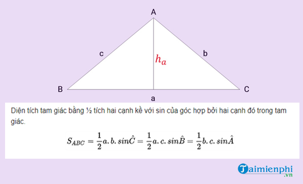 Diện Tích Hình Tam Giác Bằng Công Thức Chi Tiết và Đầy Đủ