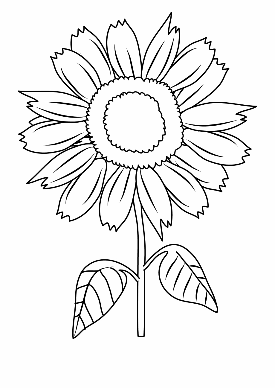Coloring Page: Sunflower for Kids