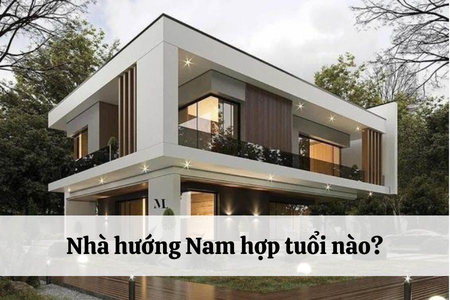 Hướng Nam Hợp Tuổi Nào? Khám Phá Phong Thủy Để Đón Tài Lộc!