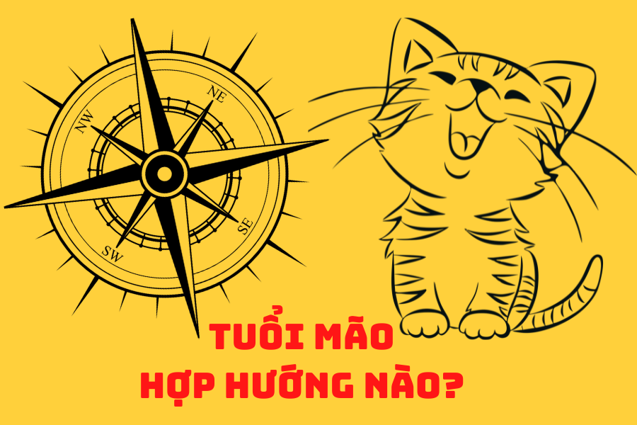 Tuổi Mão Hợp Hướng Nào?