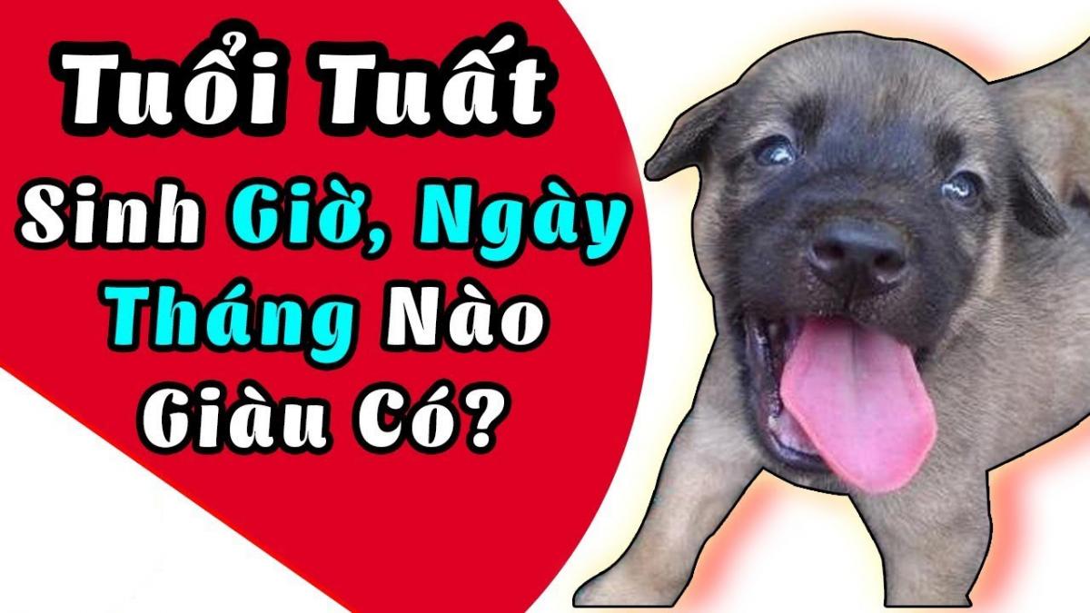 Tuổi Tuất Sinh Giờ Nào Tốt? Khám Phá Bí Mật Giờ Sinh Mang Lại May Mắn