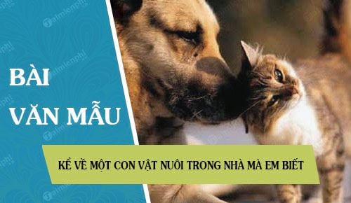 Em Hãy Tả 1 Con Vật Mà Em Yêu Thích - Những Bài Văn Mẫu Hay Nhất