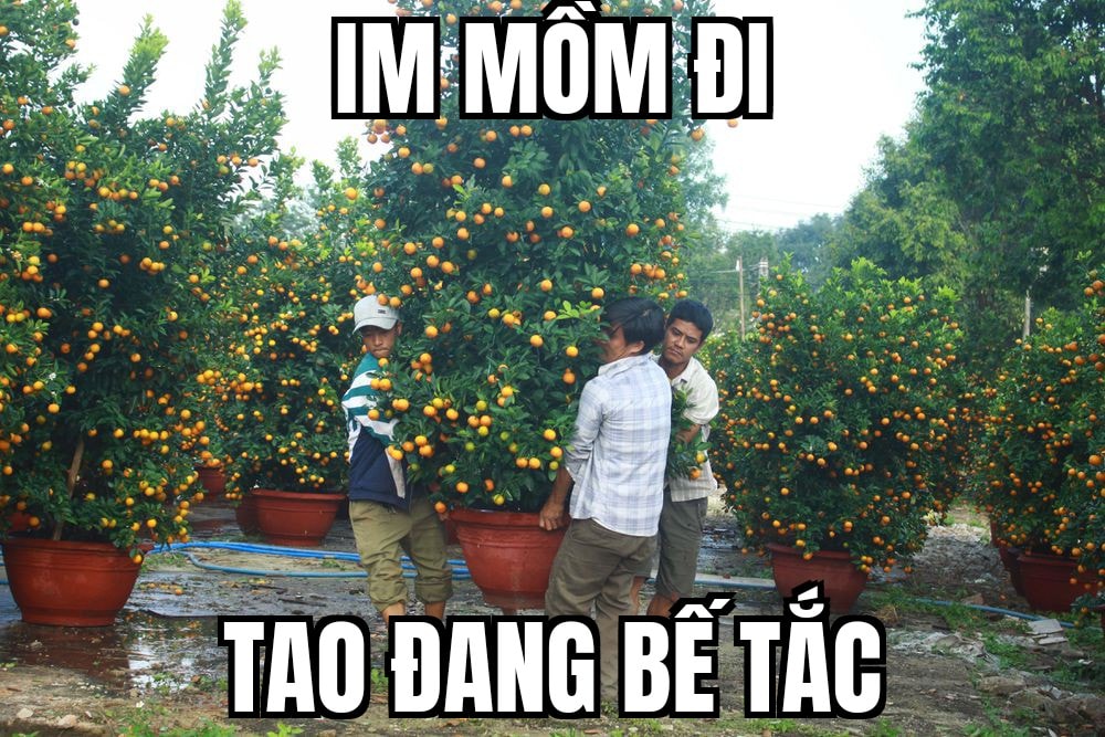 im-mom-meme-sieu-ba-dao_032616397.jpg