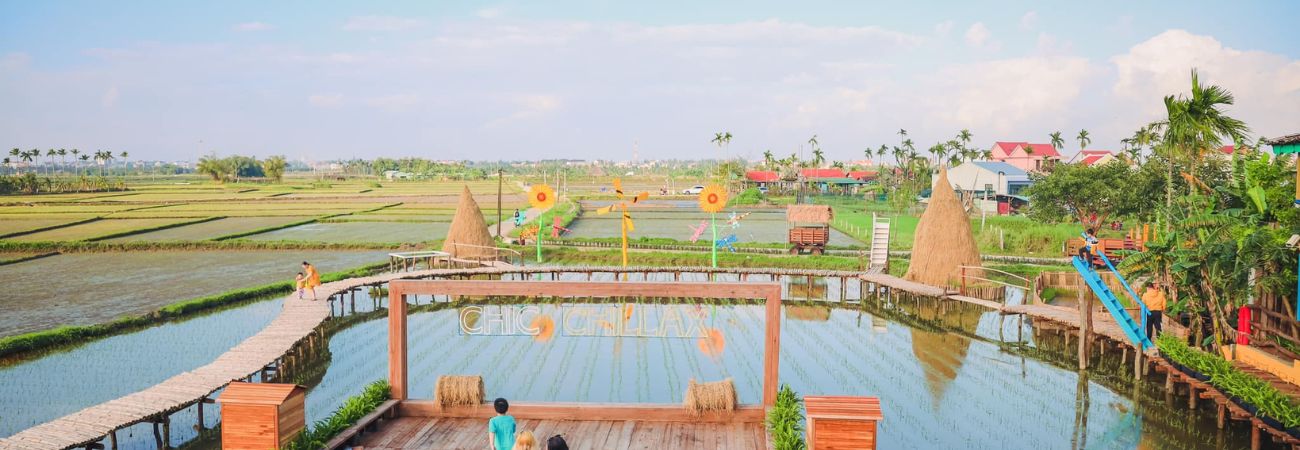 Discover the Ultimate Hoi An Rice Field View Cafes