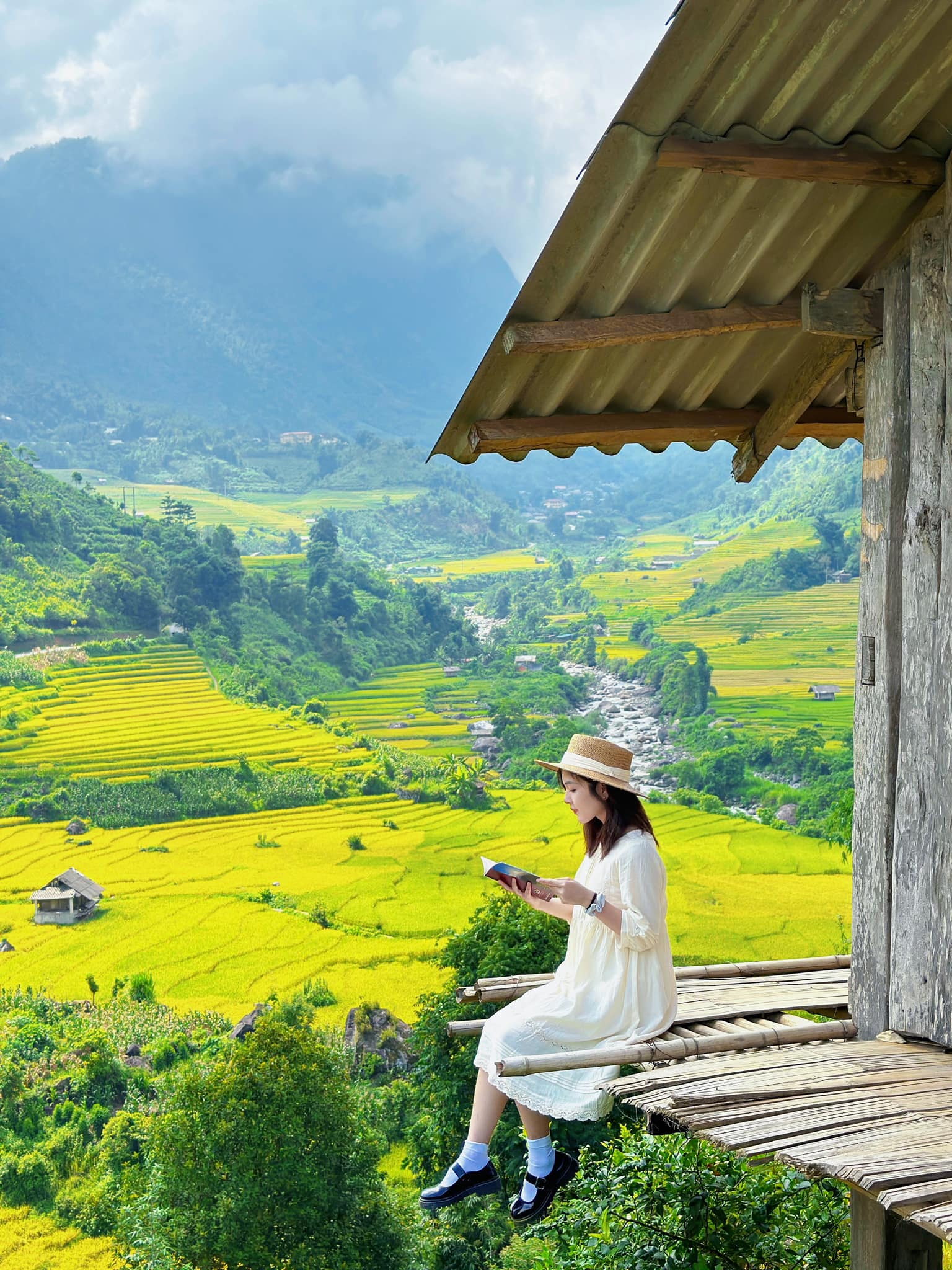 Explore Nậm Cang - Sapa during the vibrant golden rice season - Mytour