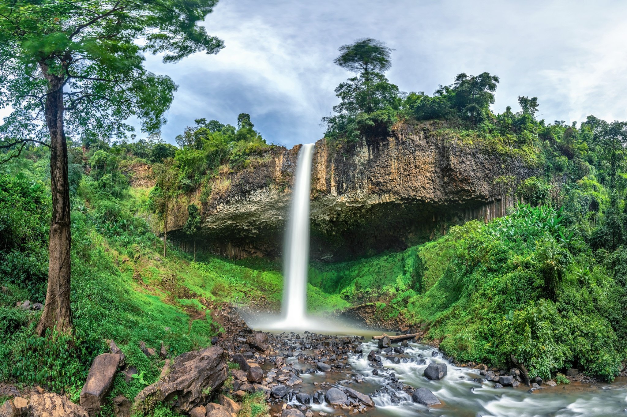 The Untouched Beauty of Tây Nguyên's Mountainous Forests - Mytour