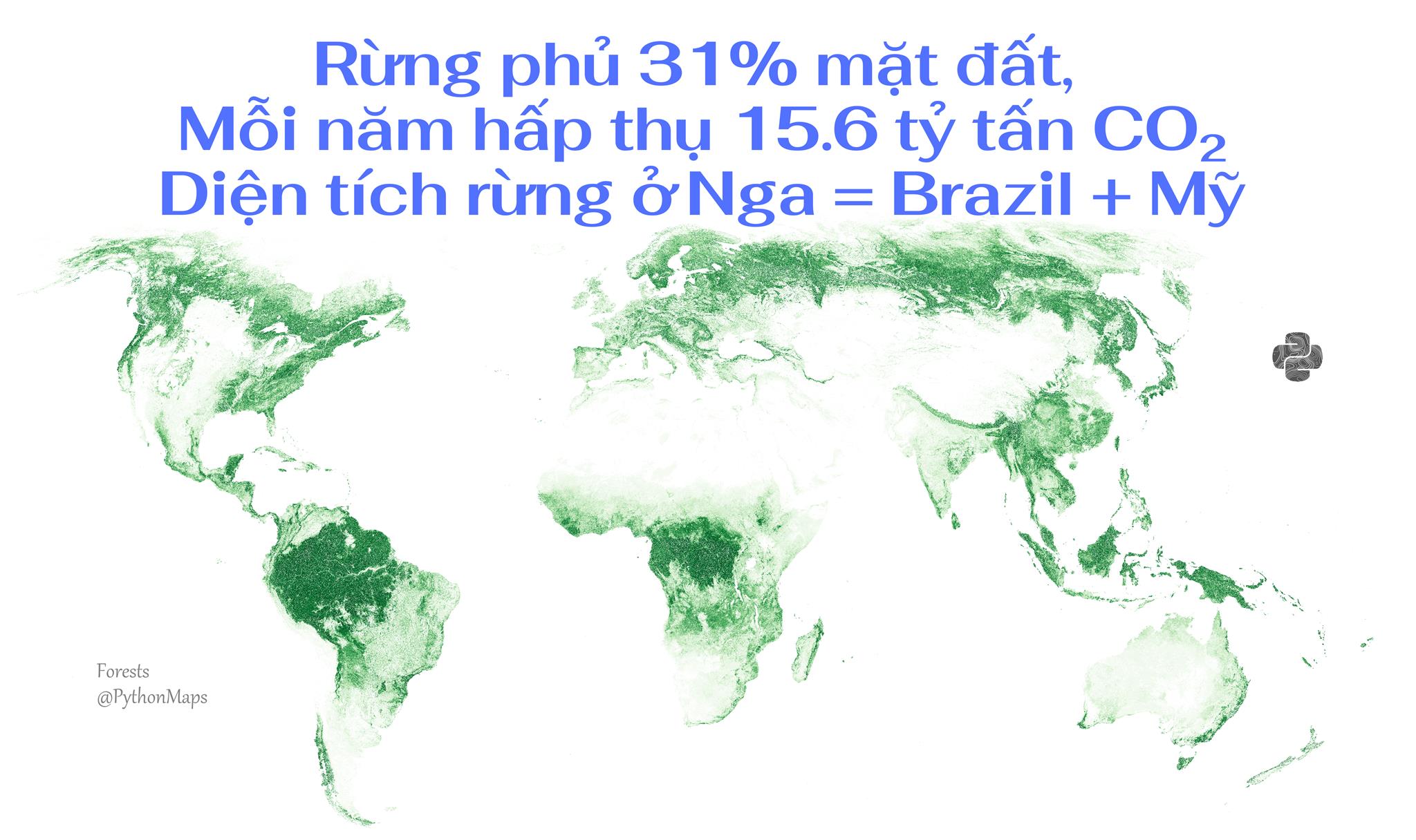 Trải qua hàng thế kỷ, Trái đất đã mất đi 104 triệu hecta rừng, tương ...