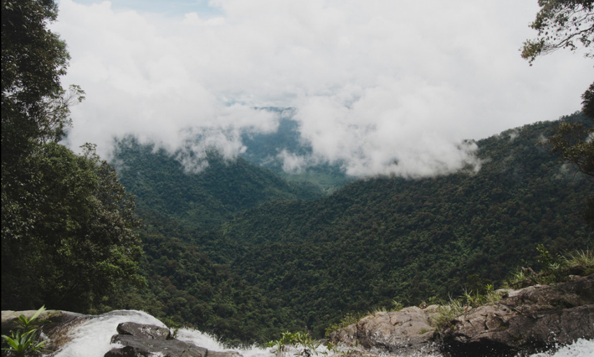 Exploring Bạch Mã National Park in a Day - Mytour