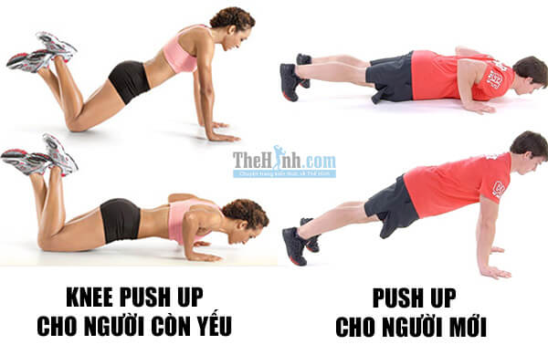 Step-by-step guide to mastering the perfect push-up for beginners